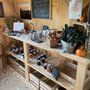 Photo of Fuller Mountain Farm Stand