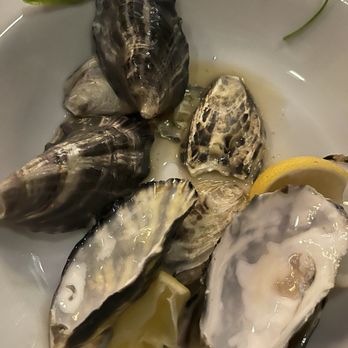 Noren Izakaya - Oysters - Izakaya Near Me - San Francisco, California Noren Izakaya - Oysters - Izakaya Near Me - San Francisco, California