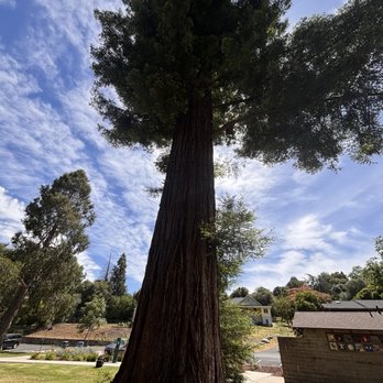 Utica Park - Parks Near Me - Angels Camp, California Utica Park - Parks Near Me - Angels Camp, California
