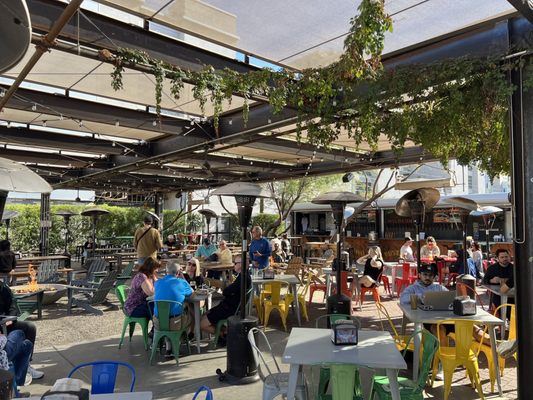 Arizona Wilderness DTPHX by null