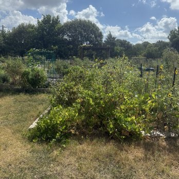 Patterson Park Community Garden - Community Gardens Near Me - Austin, Texas Patterson Park Community Garden - Community Gardens Near Me - Austin, Texas