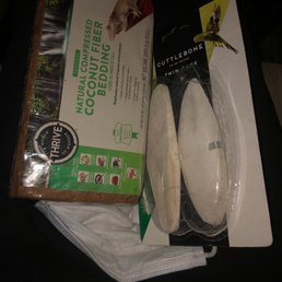 Cuttlebone and coconut fiber Cuttlebone and coconut fiber