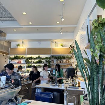 Verve Coffee Roasters - coffee bar - Coffee & Tea Near Me - Santa Cruz, California Verve Coffee Roasters - coffee bar - Coffee & Tea Near Me - Santa Cruz, California