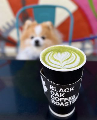 Black Oak Coffee Roasters by null