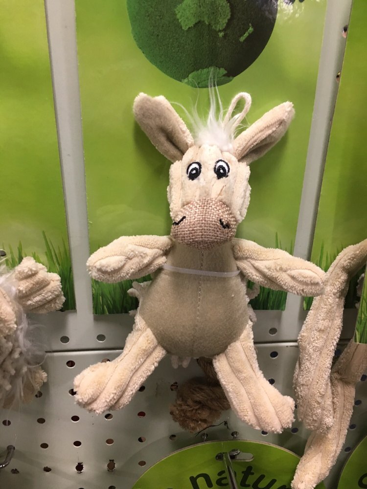 PET MAGIC Updated September 2024 1500 Albany Hwy, Cannington