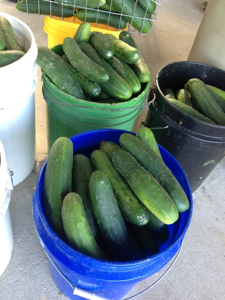 Price's Produce Logo