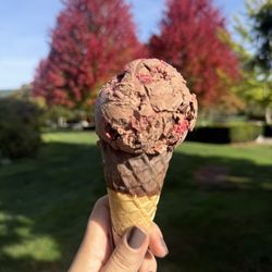 Rocky Point Ice Cream - Double Chocolate Raspberry in chocolate dipped cone