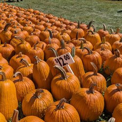 Dollinger Family Farm
