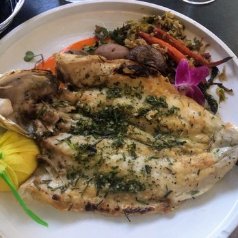 Trattoria 360 - Branzino al Rosemarino - Italian Near Me - Campbell, California Trattoria 360 - Branzino al Rosemarino - Italian Near Me - Campbell, California