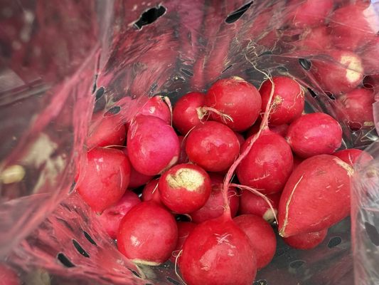 Las Vegas Farmers Market at Uncommons by null