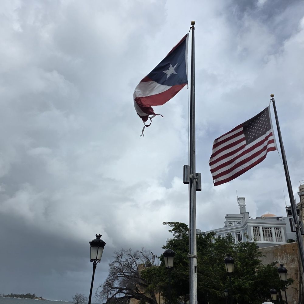 Fuente Raíces - The Flags at Fuente Raíces - Landmarks & Historical Buildings Near Me - San Juan, Puerto Rico