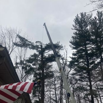 MS Tree Service - Tree Services Near Me - Burton, Ohio MS Tree Service - Tree Services Near Me - Burton, Ohio
