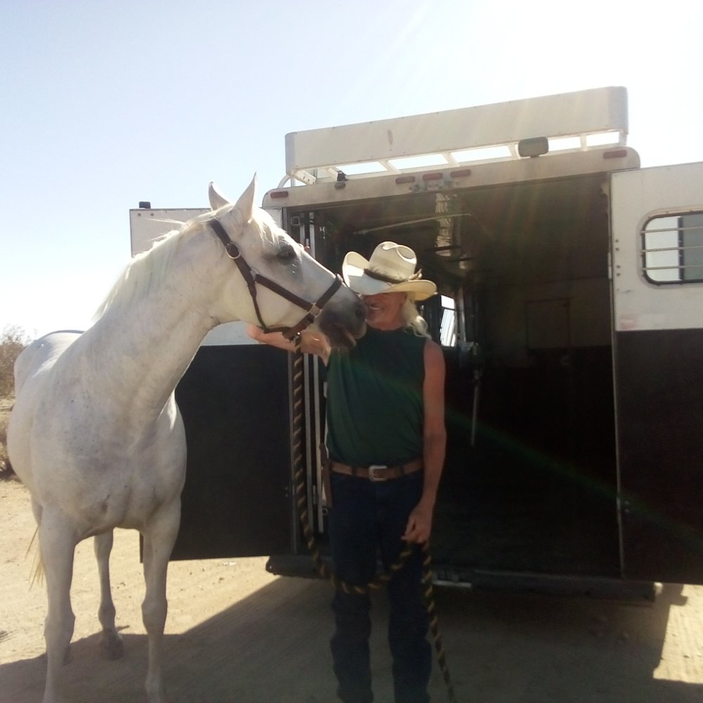 Pegasus Equine Transport - Pegasus is the best!!!!! - Pet Transportation Near Me Pegasus Equine Transport - Pegasus is the best!!!!! - Pet Transportation Near Me