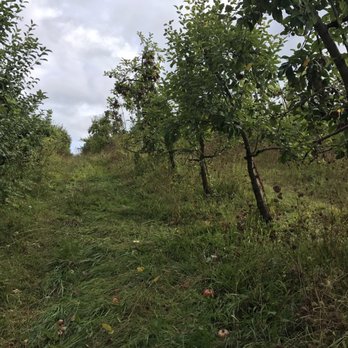 Stone Ridge Orchard - Pick Your Own Farms Near Me - Stone Ridge, New York