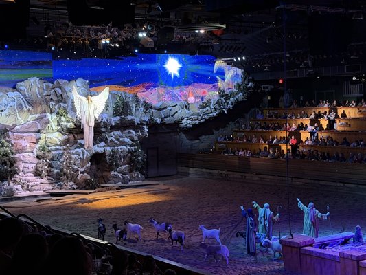 Dolly Parton's Stampede by null