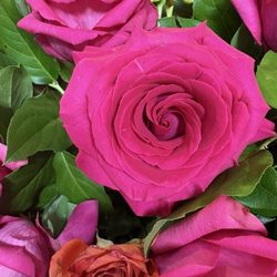 Andre's House of Floral Design
