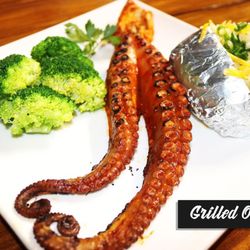 Grilled Octopus