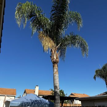 Edmar Tree Service & Landscaping - Before - Landscaping Near Me Edmar Tree Service & Landscaping - Before - Landscaping Near Me
