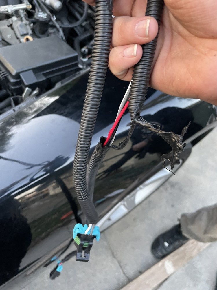 EL CABALLO MUFFLER AND AUTO REPAIR SHOP Updated August 2024 10