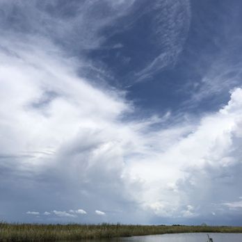 Everglades Nature Tours - Sky not too hot just perfect weather - Fishing Near Me - Parkland, Florida