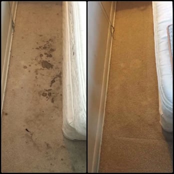 Coastal Carpet Systems - It's short simple and sweet! Dirty carpet no problem just give us a call! Get professional service for a great deal! - Carpet Cleaning Near Me Coastal Carpet Systems - It's short simple and sweet! Dirty carpet no problem just give us a call! Get professional service for a great deal! - Carpet Cleaning Near Me