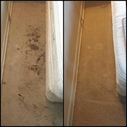 Coastal Carpet Systems