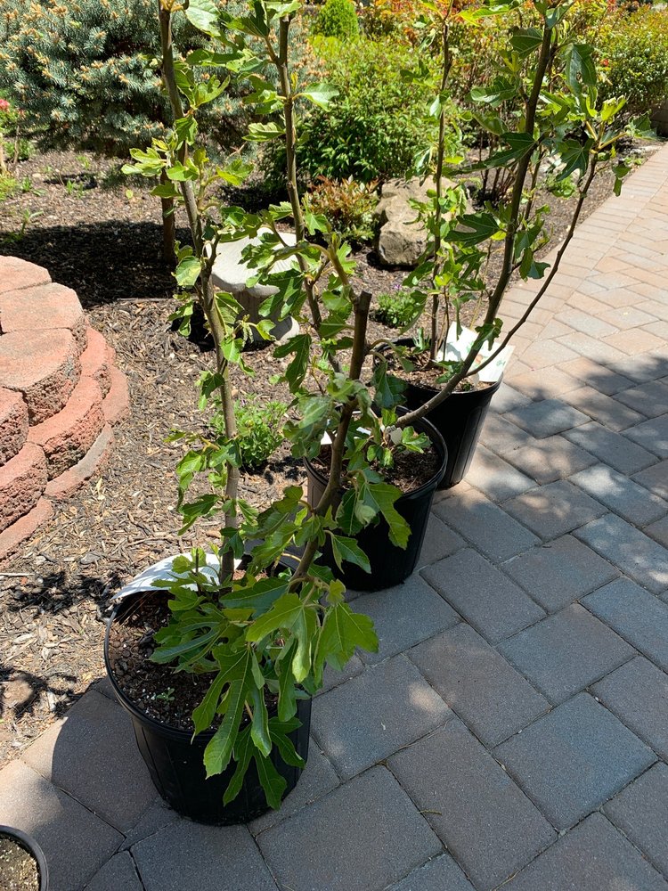 THE GLASS GREENHOUSE & FARM MARKET Updated May 2024 49 Photos & 15