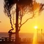 Photo of Redondo Beach Elks Lodge - 1378