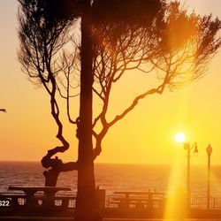 Redondo Beach Elks Lodge - 1378 - view from patio