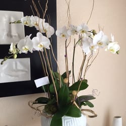 Floral Fix - White orchid arrangement