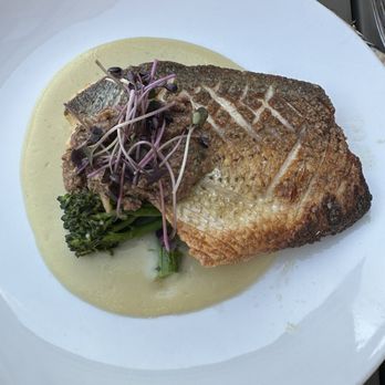 C3 Bar - Seared sea bass - Cocktail Bars Near Me - Bloomington, Indiana
