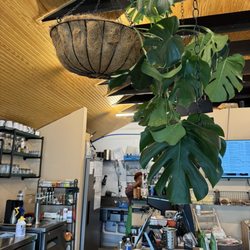 Kokomo Coffee & Juice Paradise