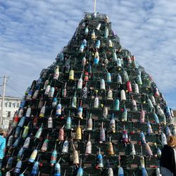 Stonington Historical Society - Lobster bouy tree you can donate to purchase these beautiful pieces of art to help the town 2nd annual tribute to raise funds