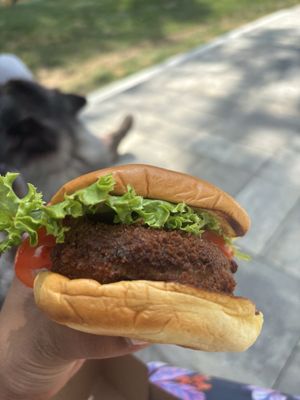 Shake Shack Pike 7 by null