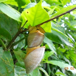 Legends of Puerto Rico - Together we enjoy the hidden beauty at the Rainforest Easy Walking Trail Tour