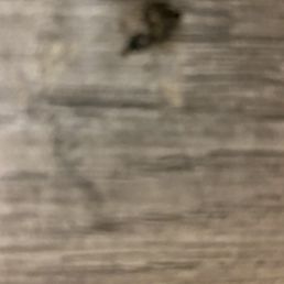 Cockroach