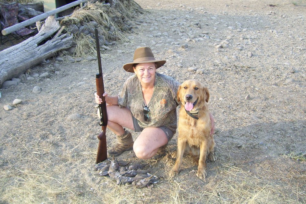 GOLDEN ARROW KENNELS Updated July 2024 Eagle Point, Oregon Pet