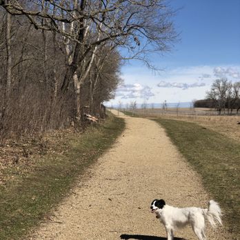 Andy's Bark Park - Luna loves it here! - Dog Parks Near Me - Woodbury, Minnesota