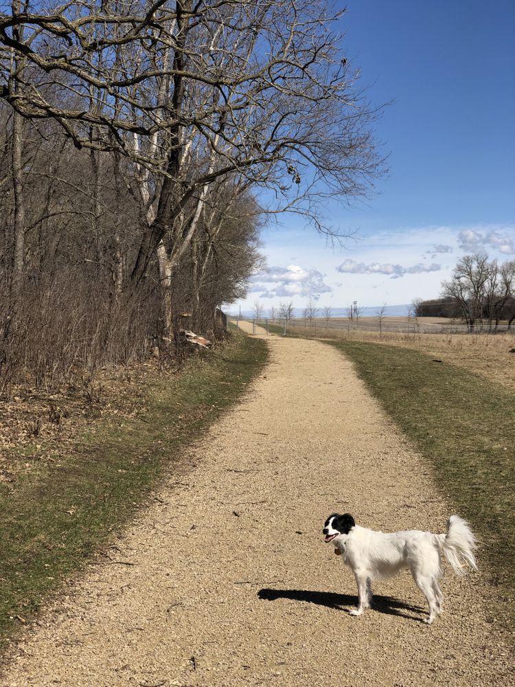 ANDY’S BARK PARK Updated May 2024 13 Photos & 17 Reviews 11664