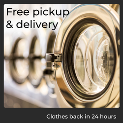 Lemon Drop Laundry Delivery