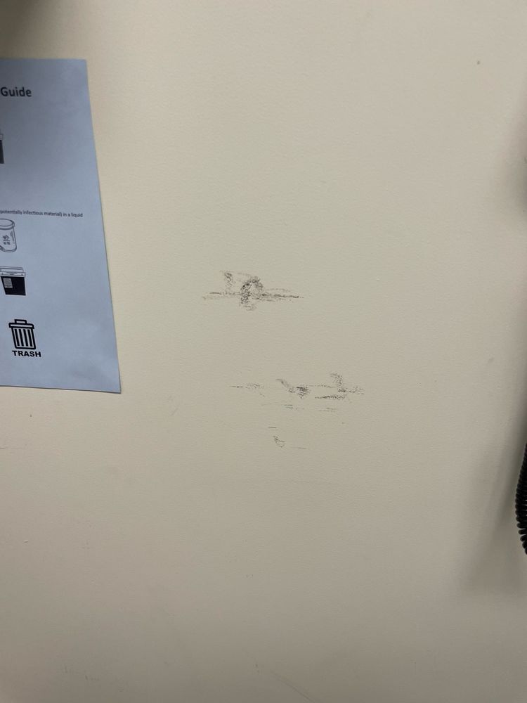 Perlman Clinic Carlsbad - patient advocate in Carlsbad, CA