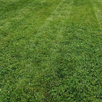 Bill & Gill's Property Maintenance - Couldn't be happier with their services! - Lawn Services Near Me Bill & Gill's Property Maintenance - Couldn't be happier with their services! - Lawn Services Near Me