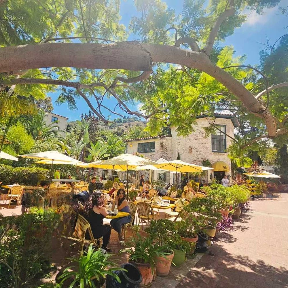 Yellow Vase - Bakeries Near Me - Palos Verdes Estates, California Yellow Vase - Bakeries Near Me - Palos Verdes Estates, California