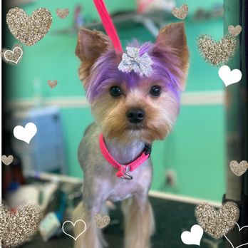 Kaye’s Yappy Hour - Pet Groomers Near Me - Huntsville, Alabama Kaye’s Yappy Hour - Pet Groomers Near Me - Huntsville, Alabama