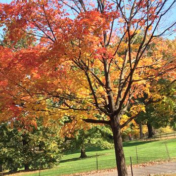 North Meadow - 11/2/17 - Parks Near Me - New York, New York North Meadow - 11/2/17 - Parks Near Me - New York, New York