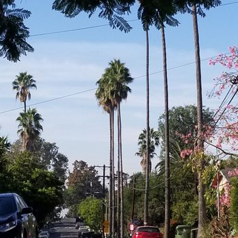 Micheltorena Stairs - Hiking Near Me - Los Angeles, California