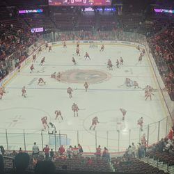 Florida Panthers