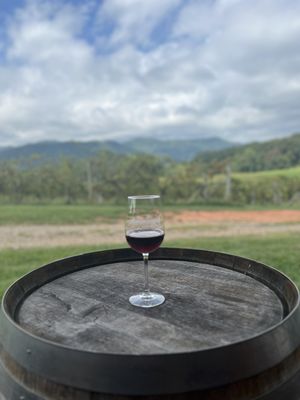 Addison Farms Vineyard by null