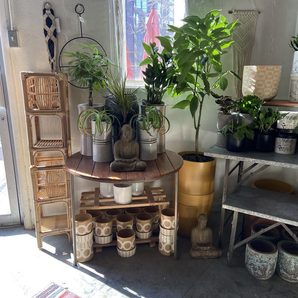 Plant Garage - Home Decor Near Me - Denver, Colorado Plant Garage - Home Decor Near Me - Denver, Colorado