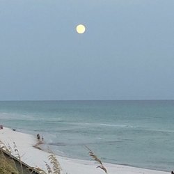 Dive 30A - Early moon.....